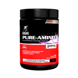 BETANCOURT Pure Amino 353 gram